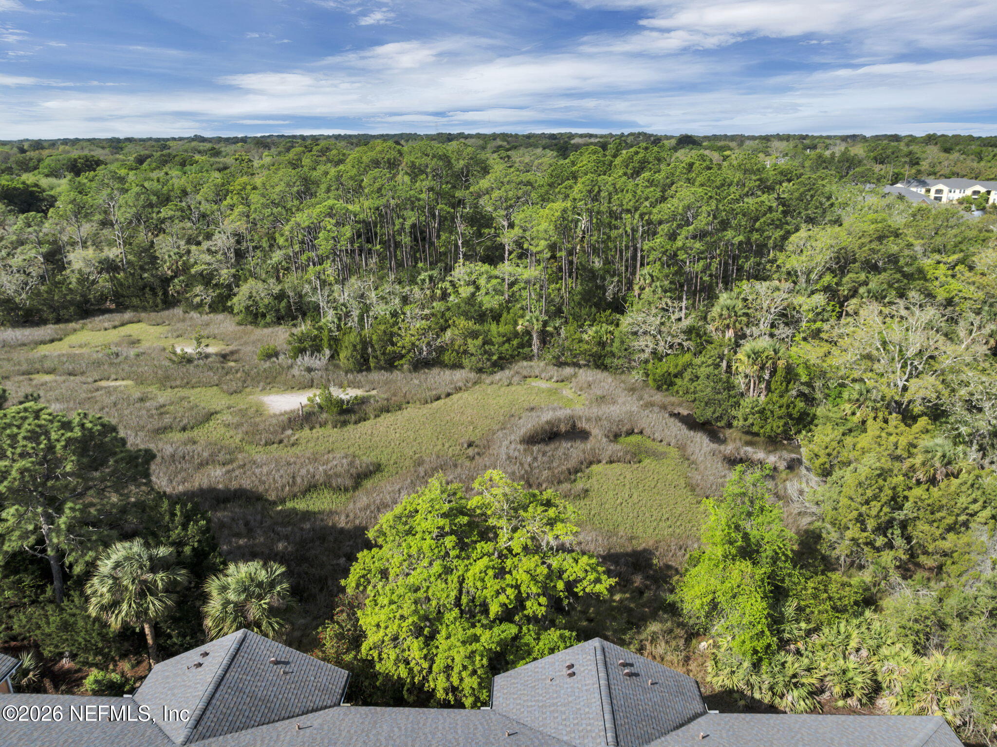 3117 Haley Pointe Road St. Augustine, FL 32084 - Photo 25 of 51 Marsh and Preserve Views from Townhome