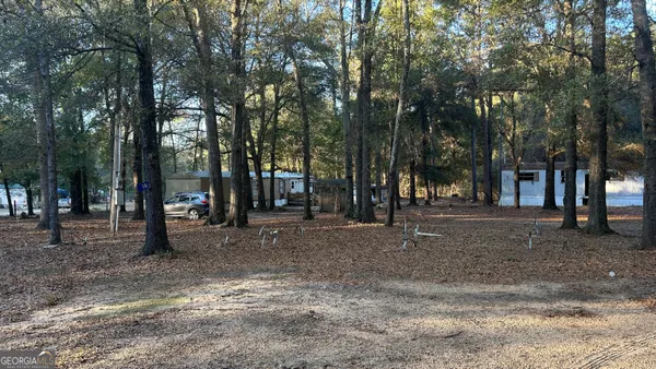 $50,000 | 34 Hall Road, Hawkinsville, GA 31036