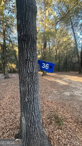 $55,000 | 34 Hall Road, Hawkinsville, GA 31036