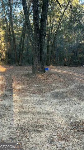 $55,000 | 34 Hall Road, Hawkinsville, GA 31036