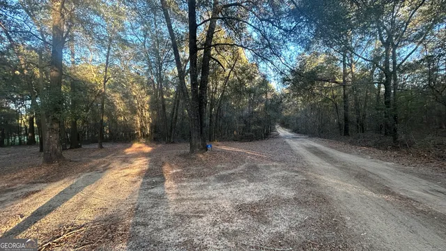 $55,000 | 34 Hall Road, Hawkinsville, GA 31036