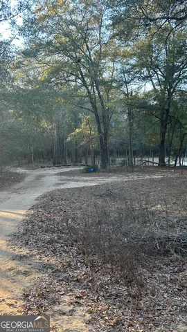 $55,000 | 34 Hall Road, Hawkinsville, GA 31036