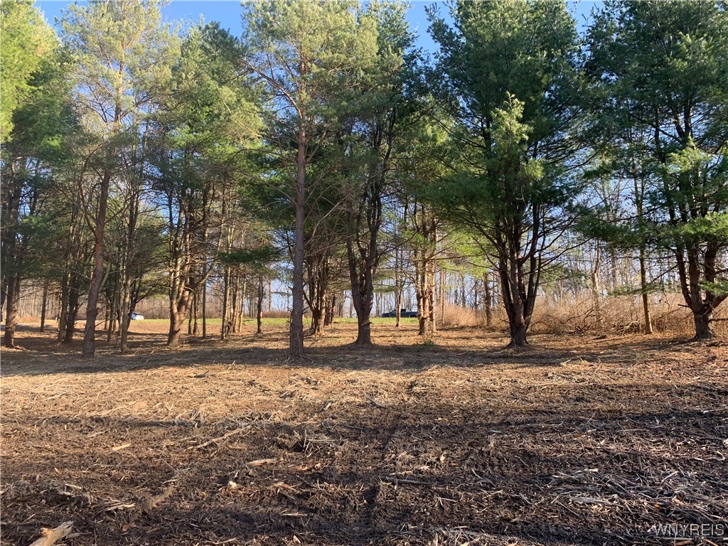 9164 Gowanda State Road Eden, NY 14057 - Photo 4 of 10