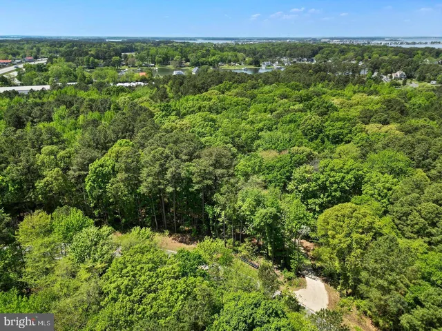 a view of outdoor space with trees