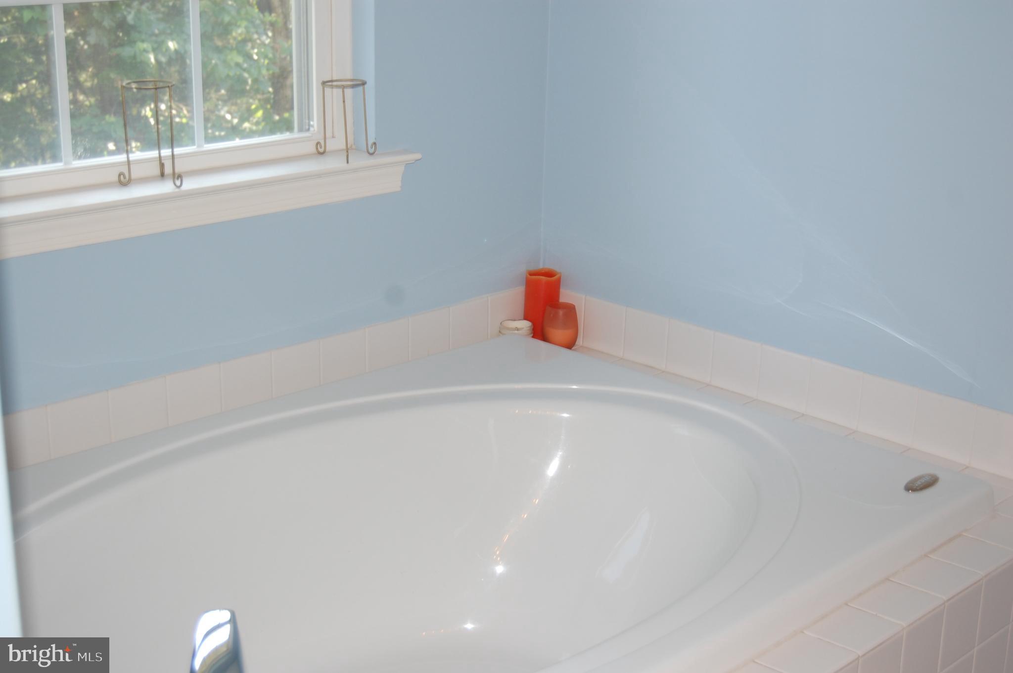 1680 Bahr Road Pottstown, PA 19464 - Photo 14 of 23 Master Bath Soaking Tub