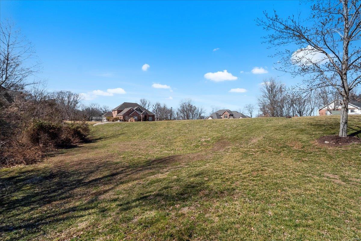 3508 Wood Ridge Court Waterloo, IL 62298 - Photo 8 of 11