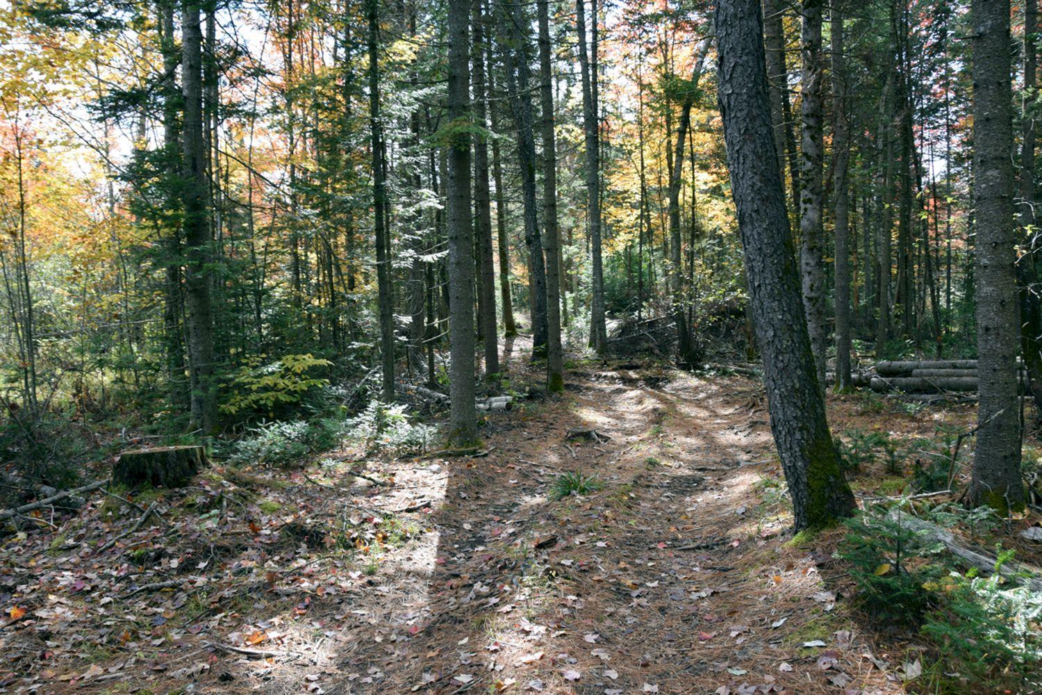 1a Halls Bridge Road Canaan, ME 04924 - Photo 19 of 44 DSC_0003 a