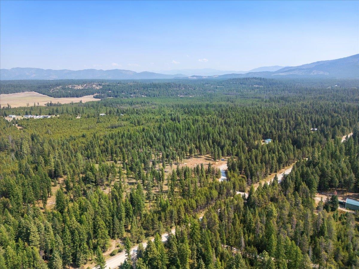 311 Bigfoot Road Newport, WA 99156 - Photo 4 of 22