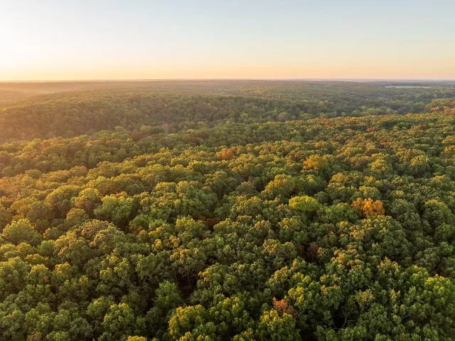 $725,000 | 13605 Southeast 226, Osceola, MO 64776