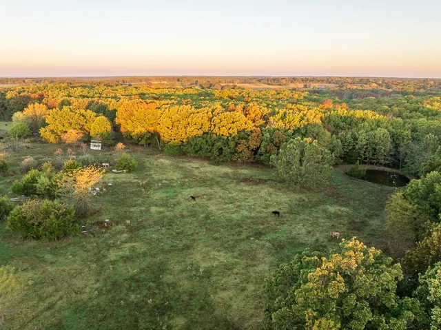 $725,000 | 13605 Southeast 226, Osceola, MO 64776