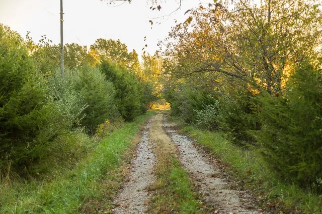 $725,000 | 13605 Southeast 226, Osceola, MO 64776