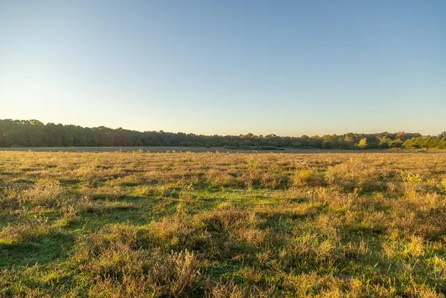 $725,000 | 13605 Southeast 226, Osceola, MO 64776