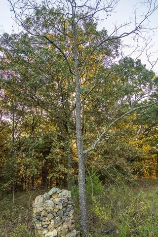 $725,000 | 13605 Southeast 226, Osceola, MO 64776