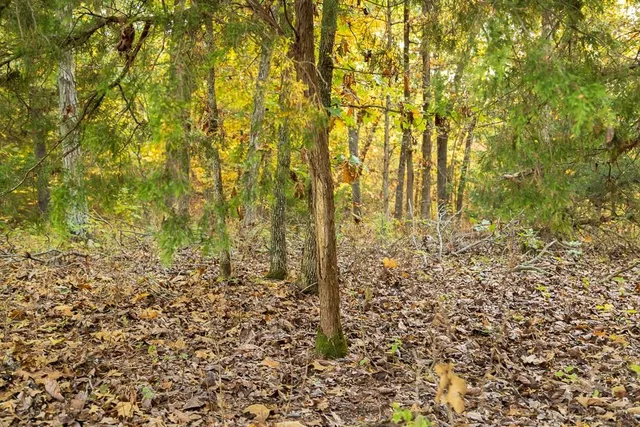 $725,000 | 13605 Southeast 226, Osceola, MO 64776