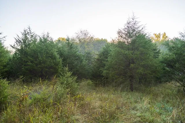 $725,000 | 13605 Southeast 226, Osceola, MO 64776