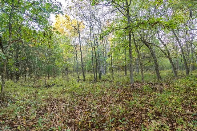 $725,000 | 13605 Southeast 226, Osceola, MO 64776