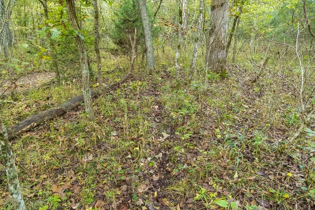 $725,000 | 13605 Southeast 226, Osceola, MO 64776