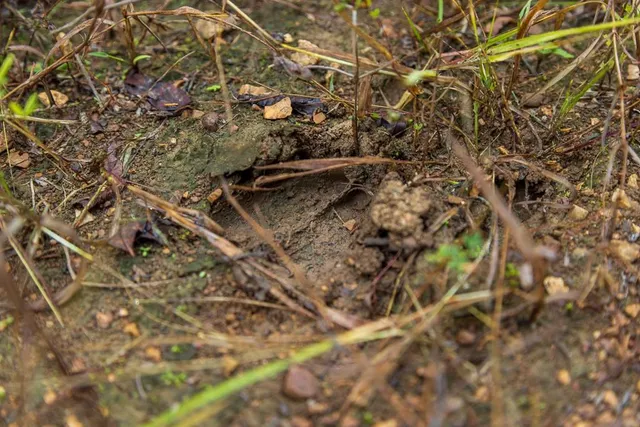 $725,000 | 13605 Southeast 226, Osceola, MO 64776