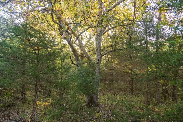 $725,000 | 13605 Southeast 226, Osceola, MO 64776