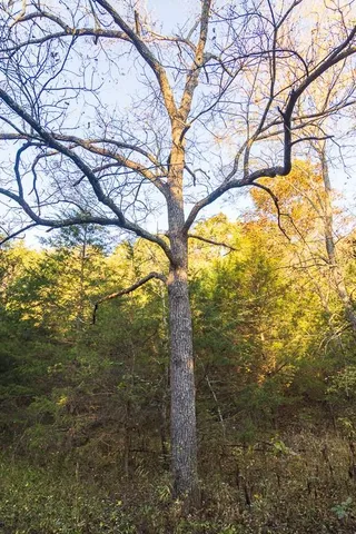 $725,000 | 13605 Southeast 226, Osceola, MO 64776