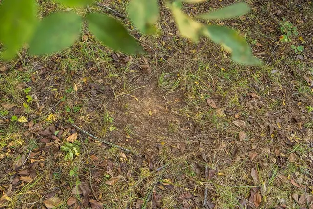 $725,000 | 13605 Southeast 226, Osceola, MO 64776