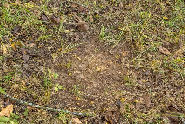 $725,000 | 13605 Southeast 226, Osceola, MO 64776