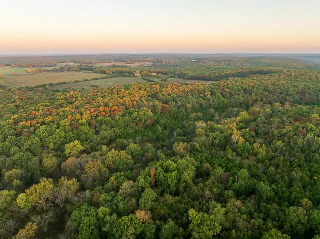 $725,000 | 13605 Southeast 226, Osceola, MO 64776