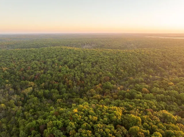 $725,000 | 13605 Southeast 226, Osceola, MO 64776