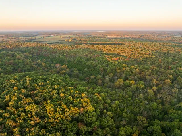 $725,000 | 13605 Southeast 226, Osceola, MO 64776