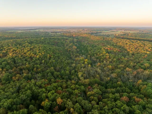 $725,000 | 13605 Southeast 226, Osceola, MO 64776