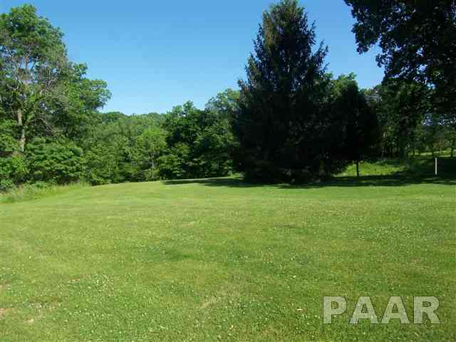21215 Tullamore Road Delavan, IL 61734 - Photo 15 of 15