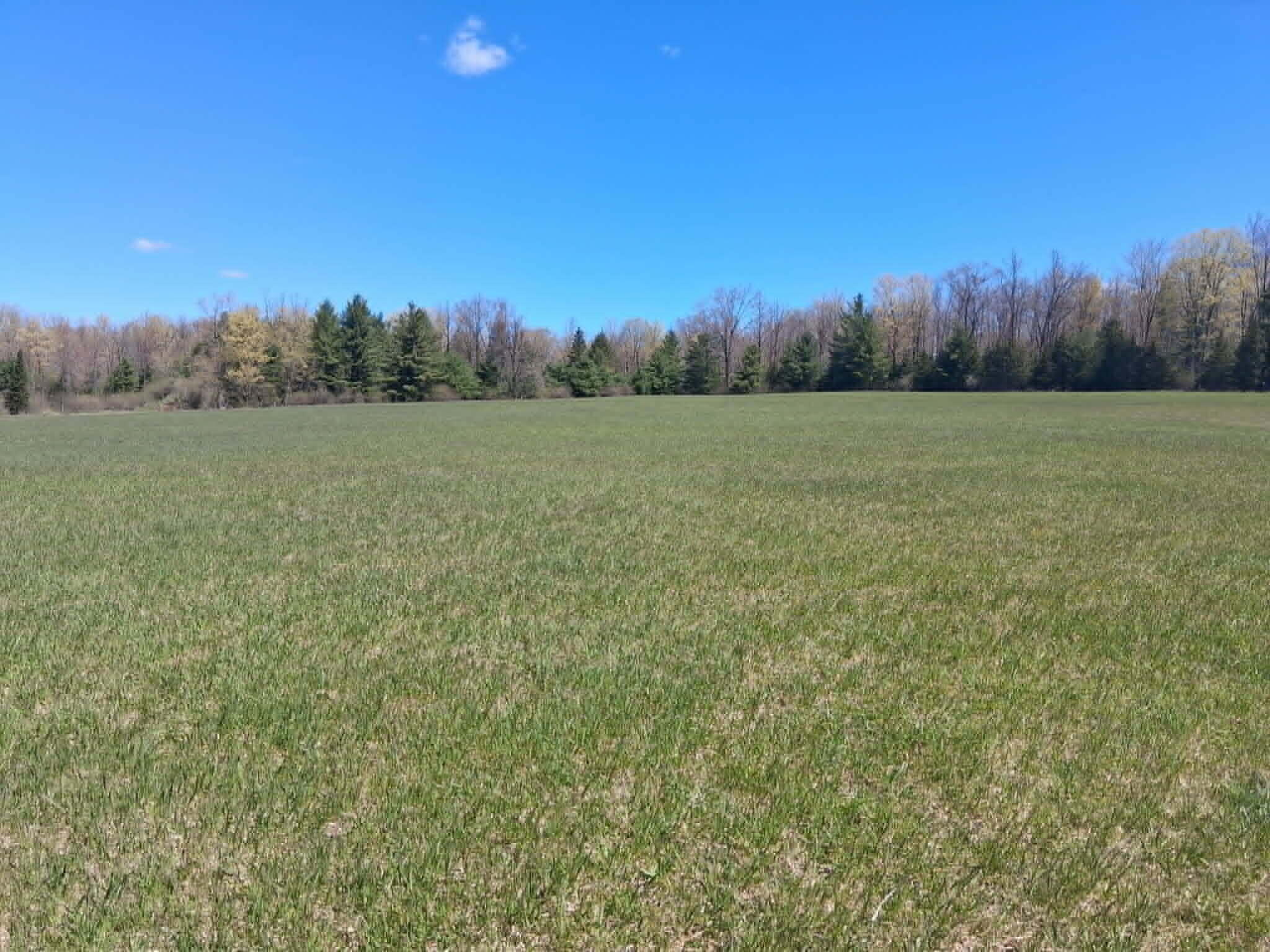 26.21-ac Crowell Road Curran, MI 48728 - Photo 4 of 12 pl21d