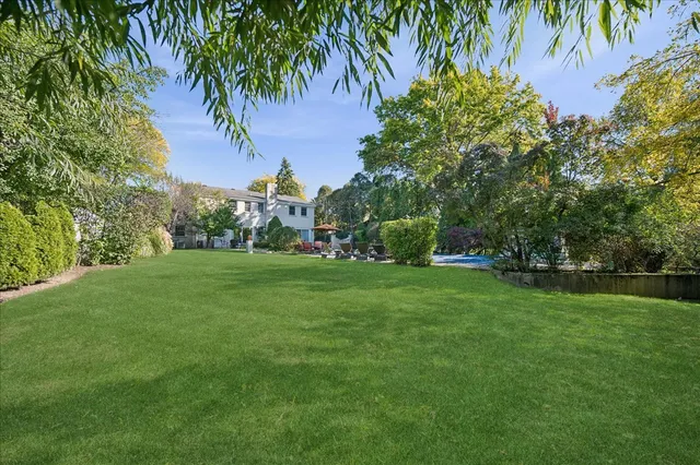 a view of a park with a tree
