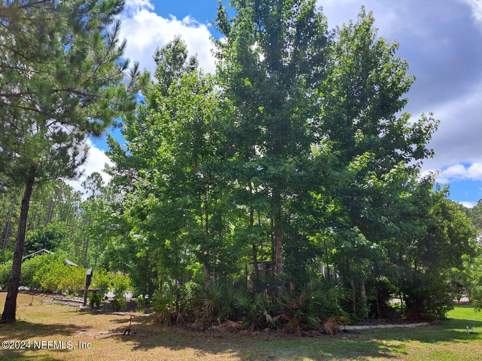 7611 South Flora Springs Road Jacksonville, FL 32219 - Photo 100 of 115 woods 1