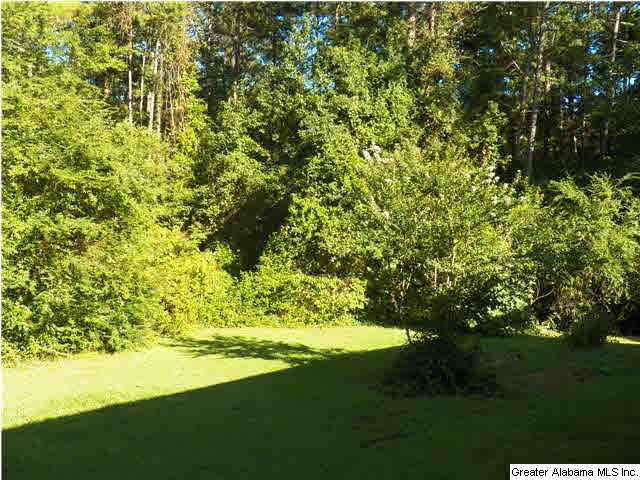 273 Danview Road Jacksonville, AL 36265 - Photo 16 of 25