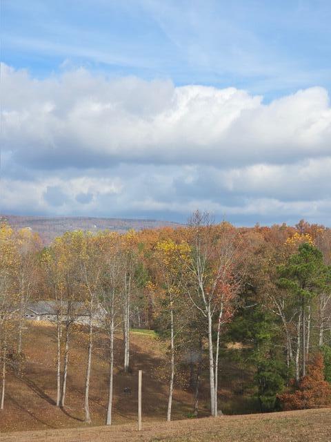 325 Henderson Road Evensville, TN 37332 - Photo 10 of 41 IMG_1089