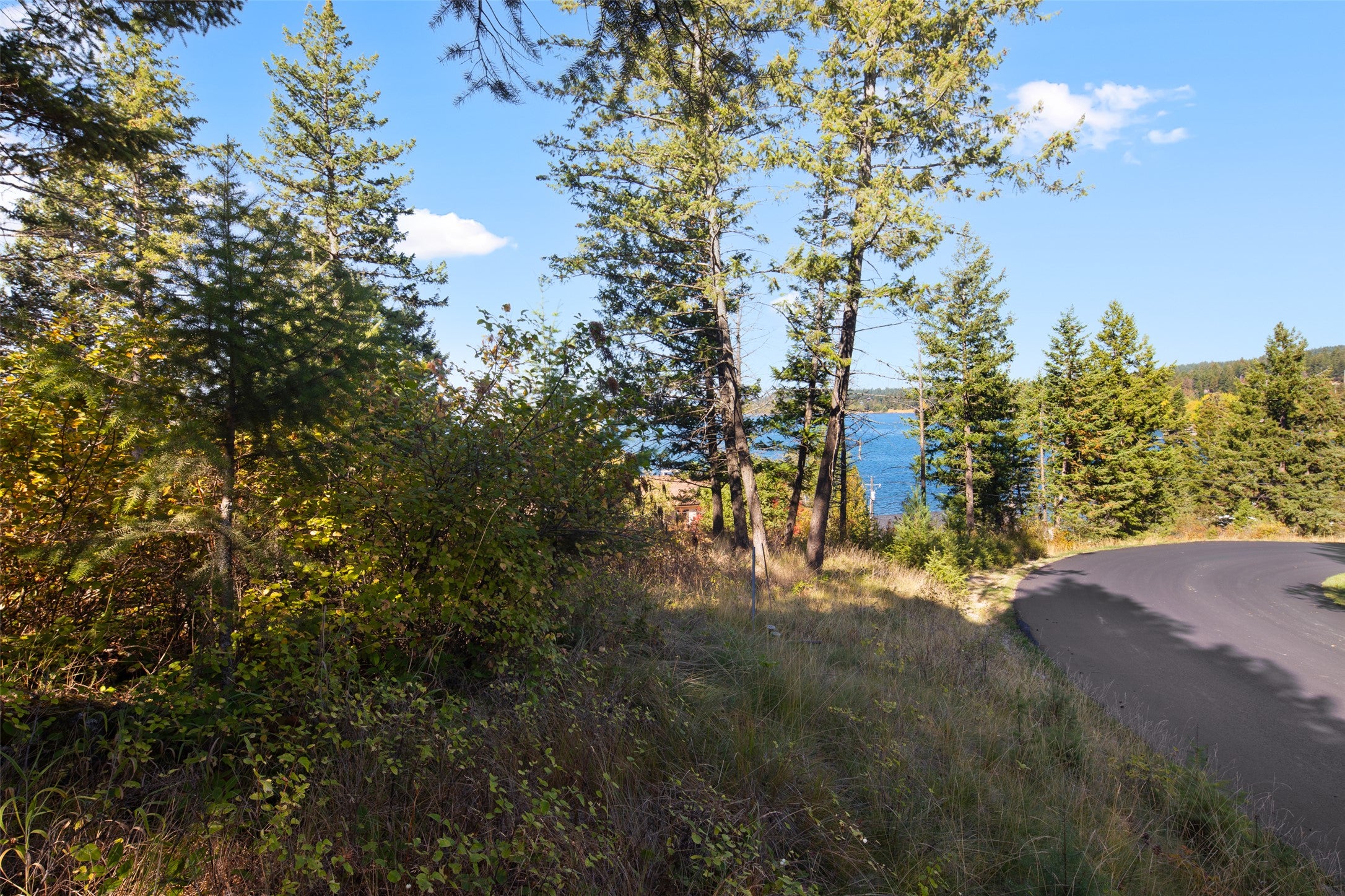 142 Whisper Rdg Drive Bigfork, MT 59911 - Photo 3 of 17 Gallery Image 3