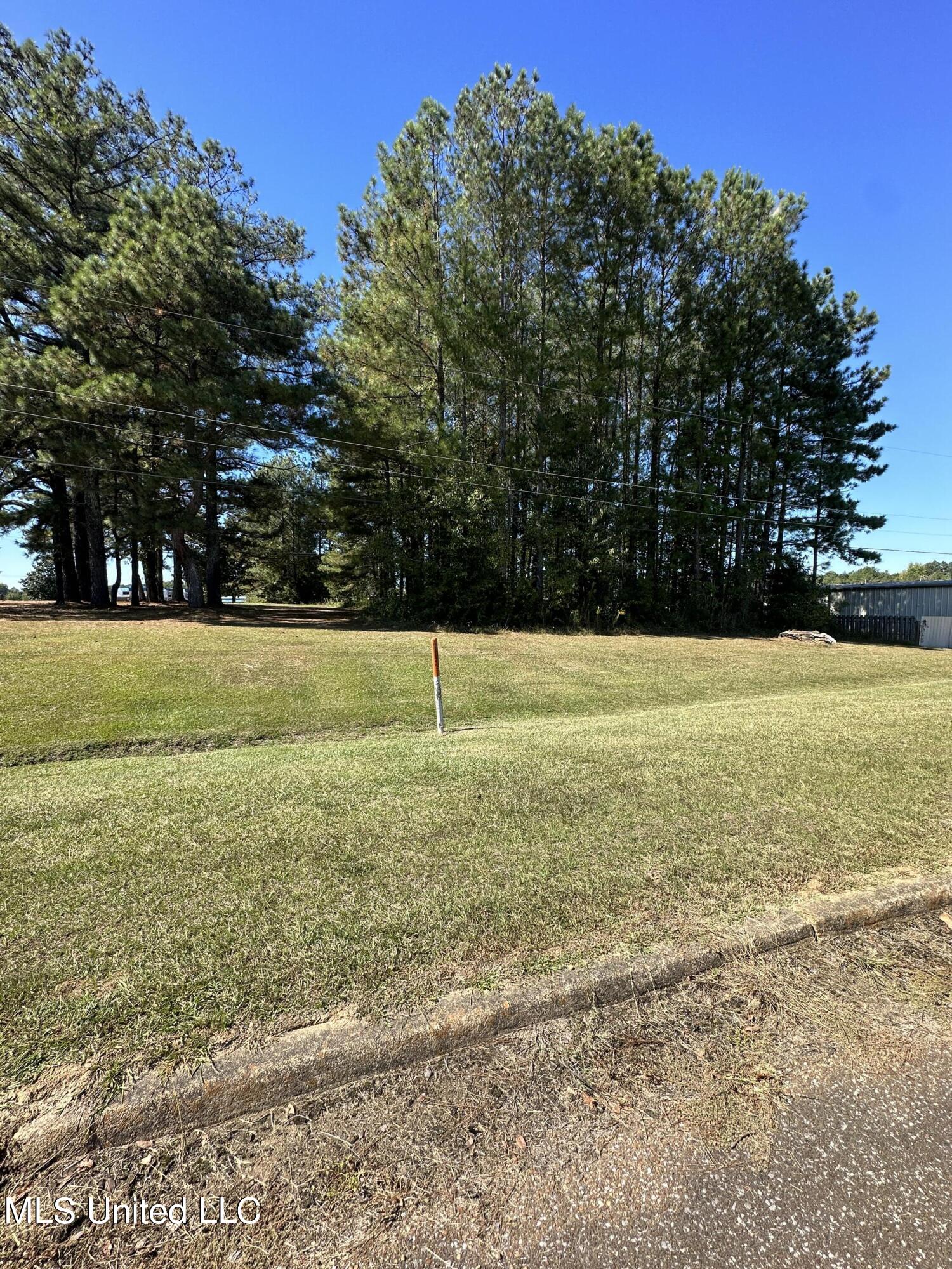 0 East Hospital Road Sardis, MS 38666 - Photo 2 of 5 IMG_6152