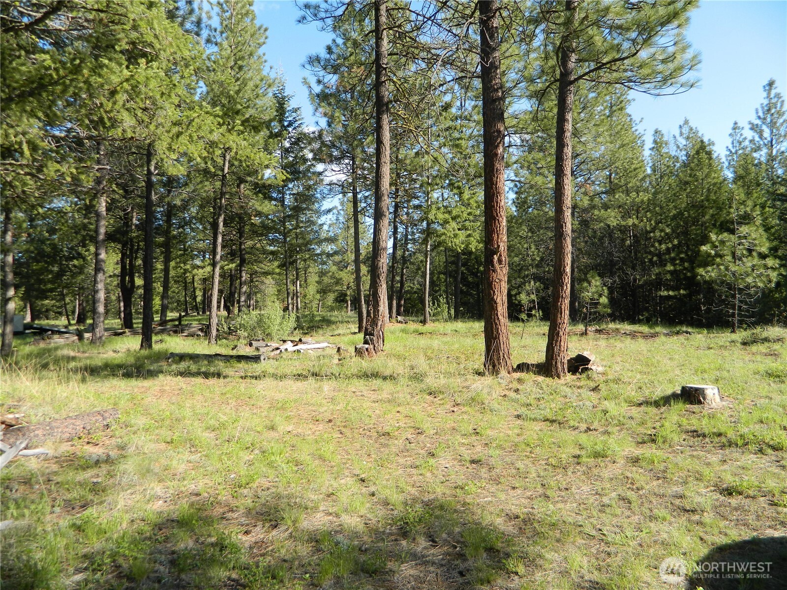 151 Indian Mary Loop Road Tonasket, WA 98855 - Photo 17 of 20