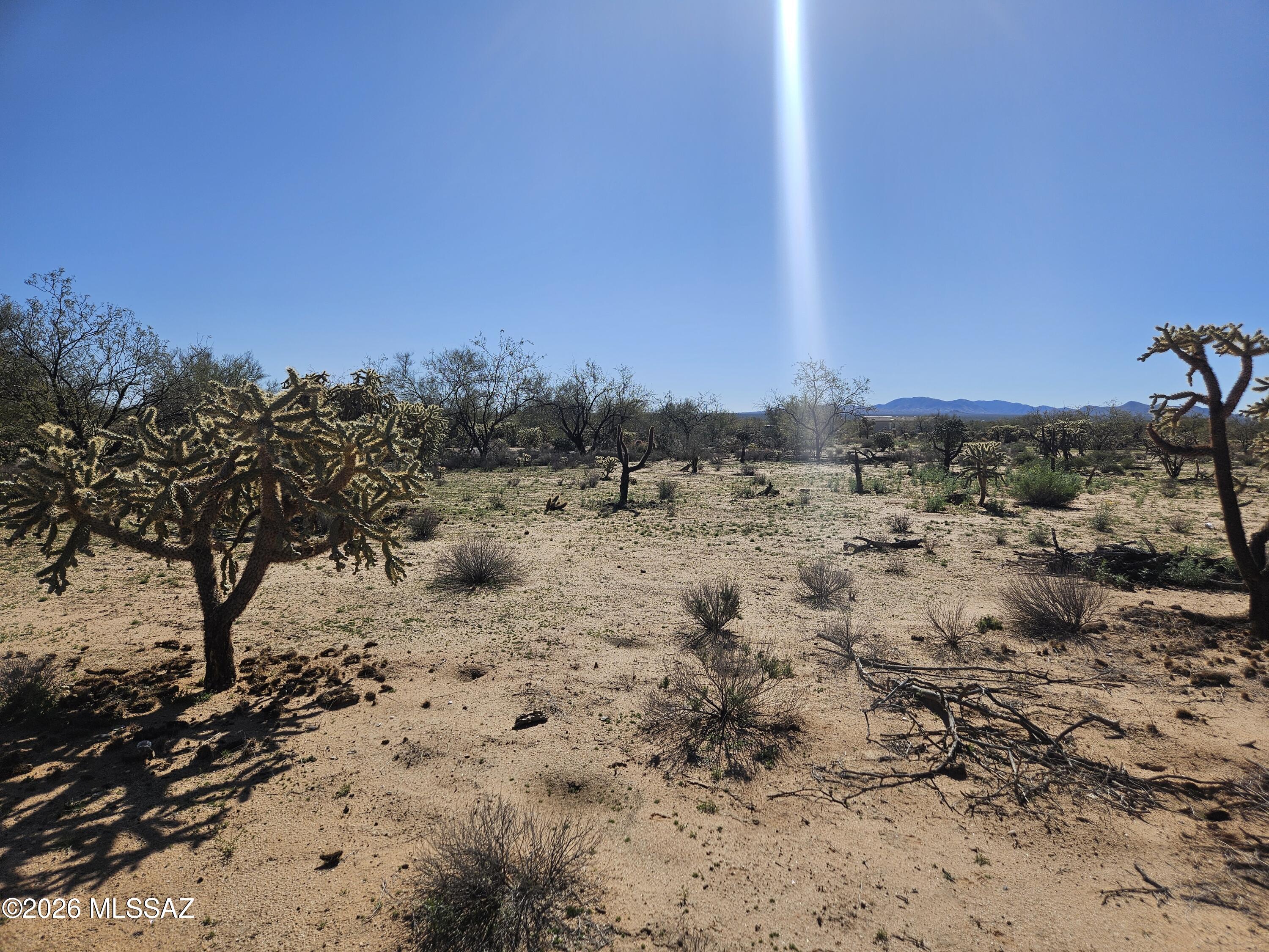 8798 South Marstellar Road Tucson, AZ 85736 - Photo 4 of 5 20260131_113604