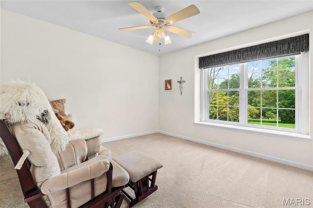 13600 Old Halls Ferry Road Florissant, MO 63033 - Photo 64 of 96