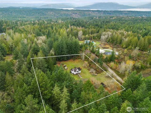 a view of a yard with a forest