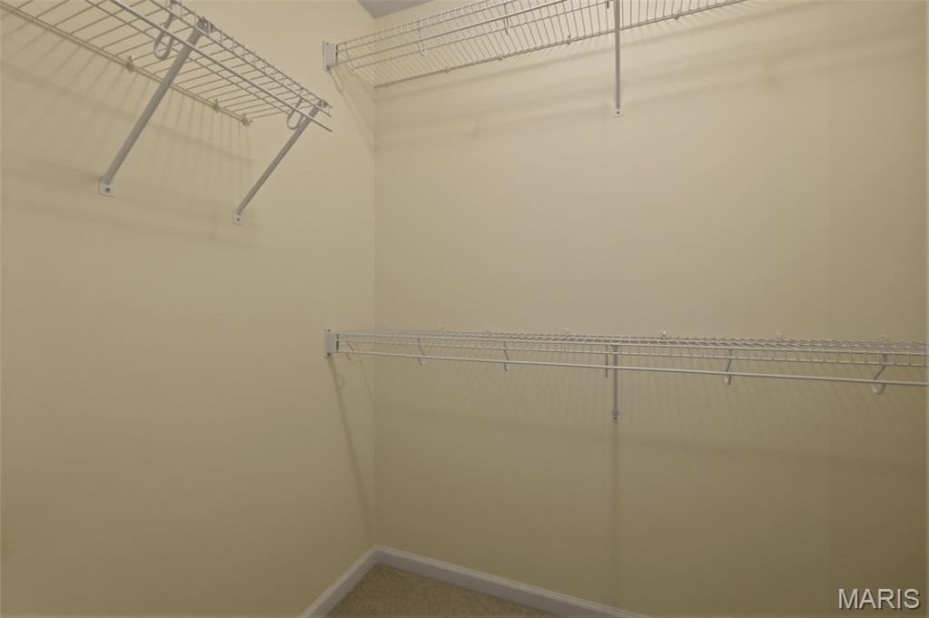 218 Park Ridge Drive, Unit 60A O'Fallon, MO 63366 - Photo 19 of 34
