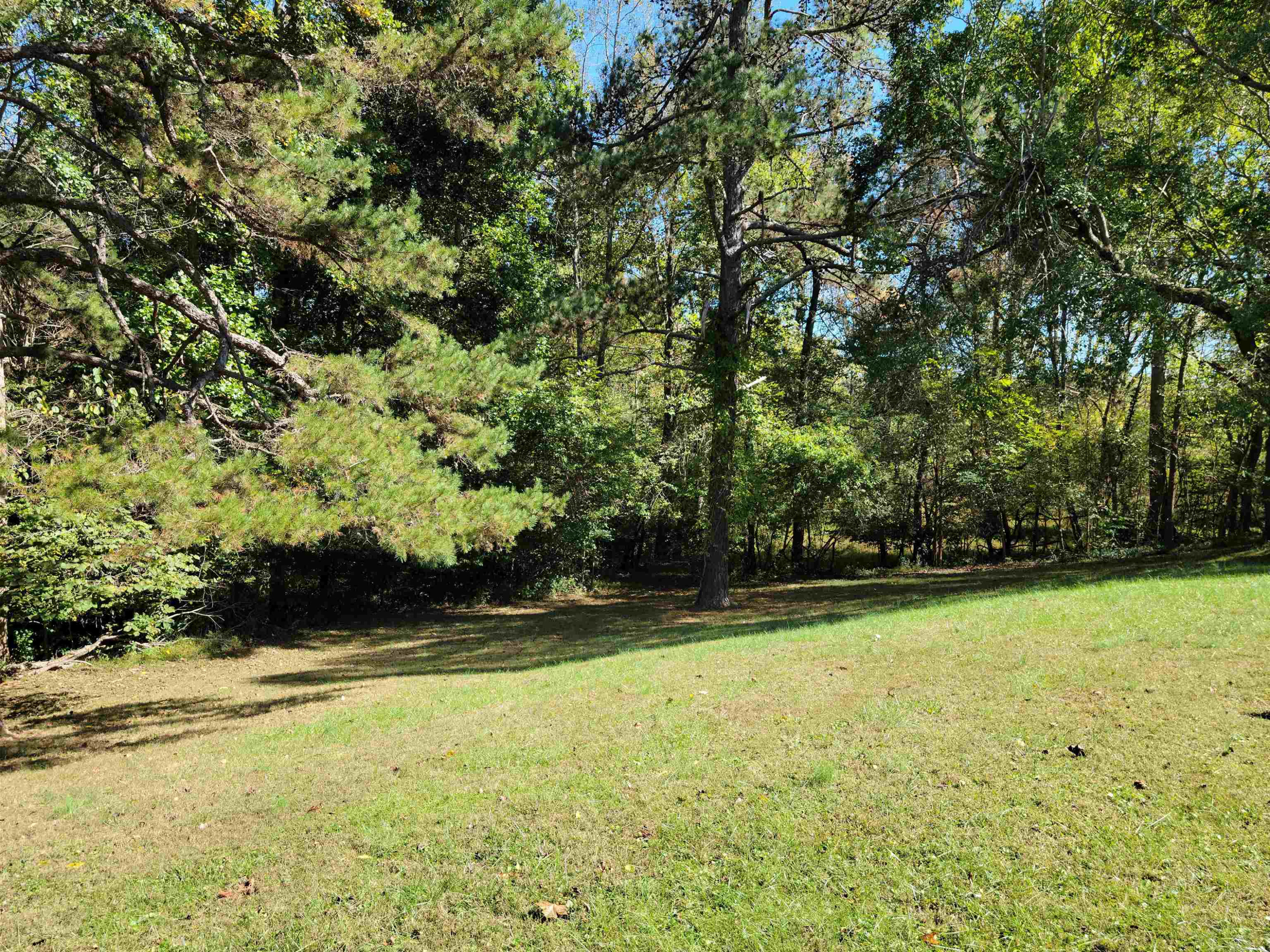 93 Terapin Slide Road Staley, NC 27355 - Photo 19 of 21 Photo 19