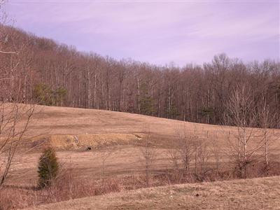 688 Slate Branch Road Crab Orchard, KY 40419 - Photo 1 of 7 Photo 1