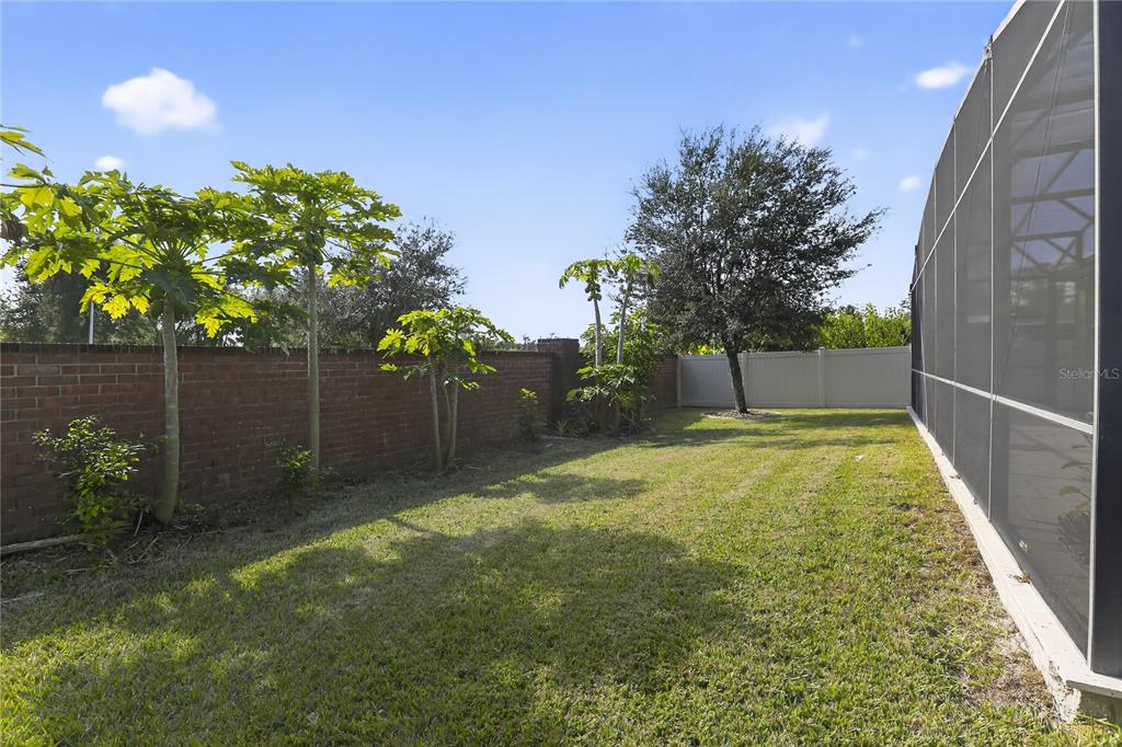 817 Dusty Pine Drive Ocoee, FL 34761 - Photo 16 of 16 a view of backyard with green space