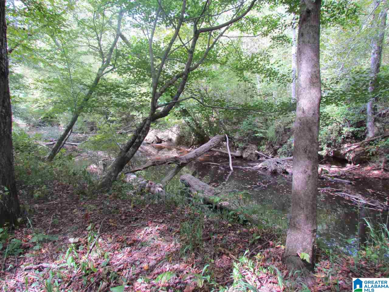 0 Wolf Pen Ridge Road Pell City, AL 35128 - Photo 5 of 13