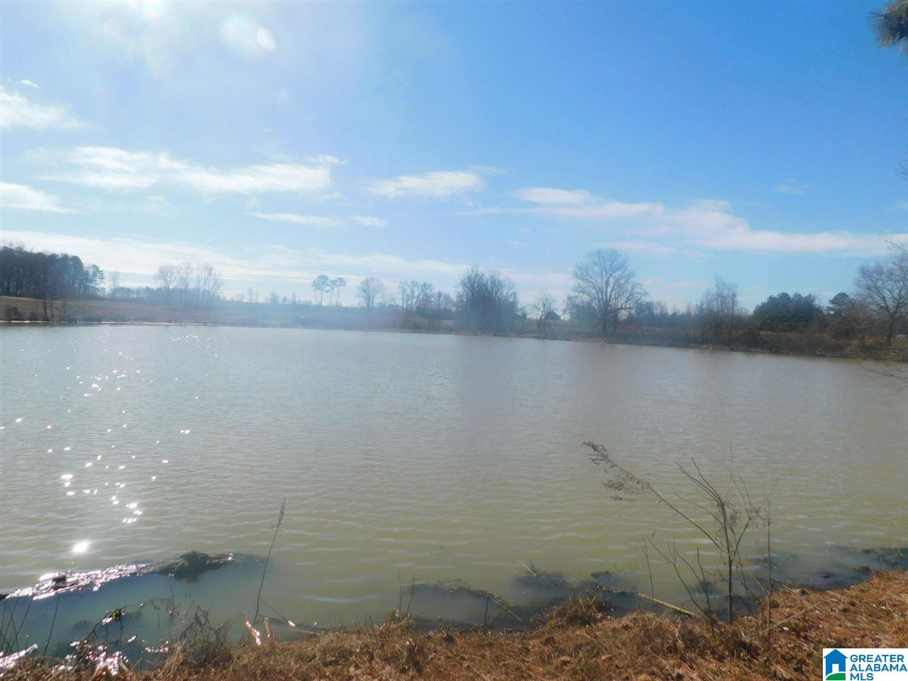 0 Loop Road, Unit 38 Steele, AL 35987 - Photo 3 of 12