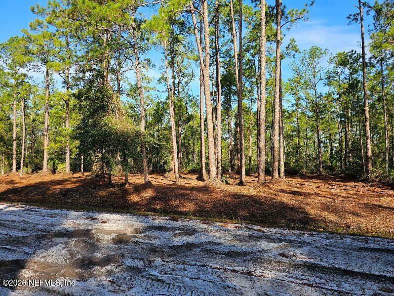 211 Georgetown Denver Road Georgetown, FL 32139 - Photo 6 of 12 image000004 (7)