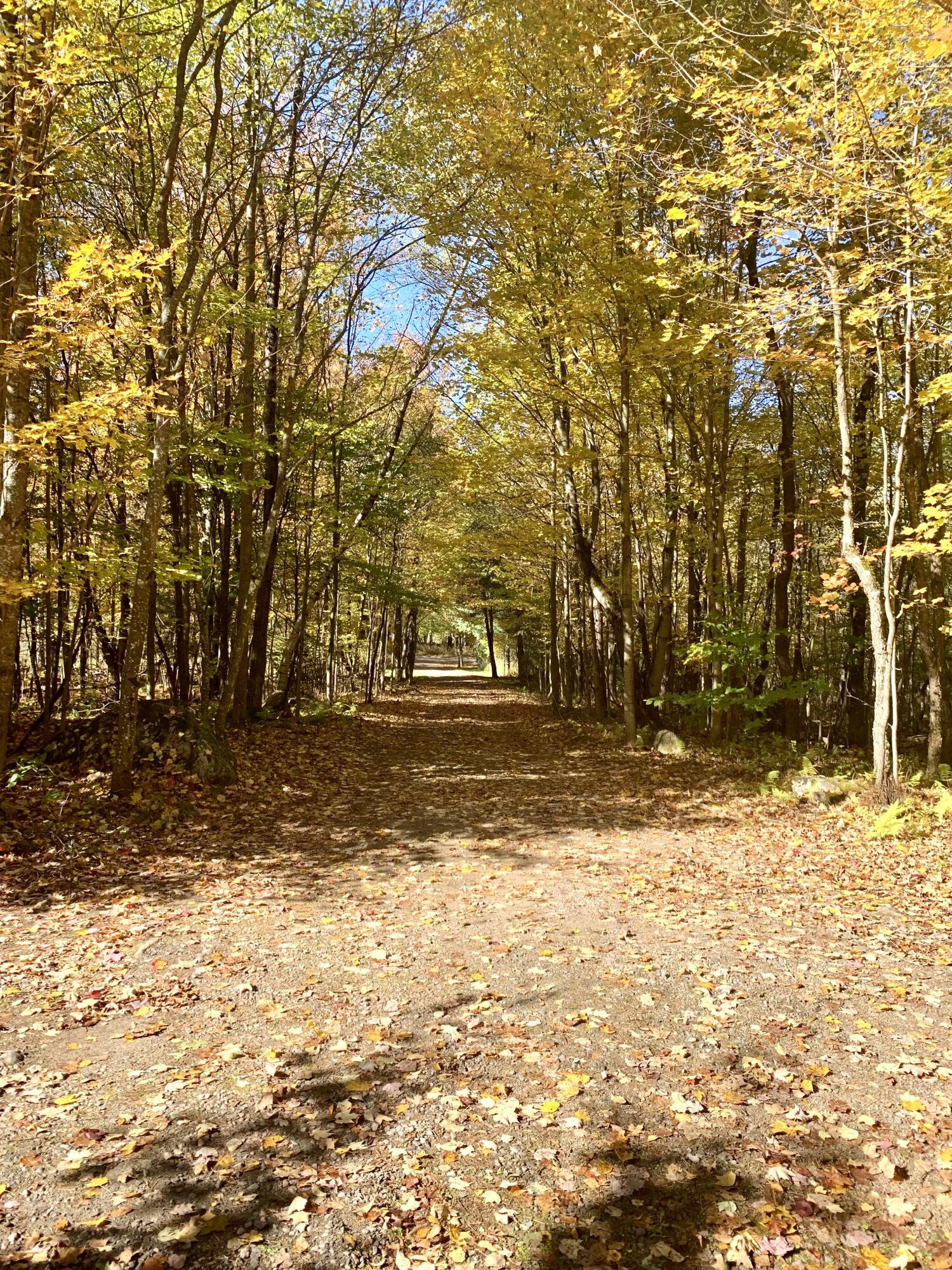 128 Cemetery Road Dickinson Center, NY 12930 - Photo 24 of 29 Gallery Image 24